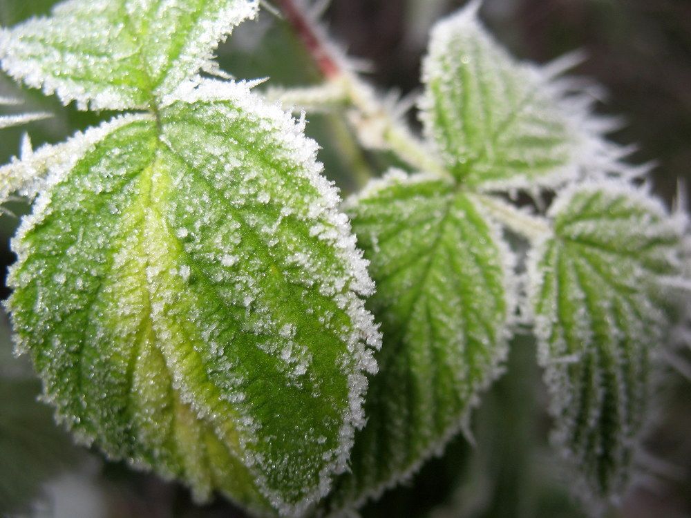 Фотография автора Нина Калинина