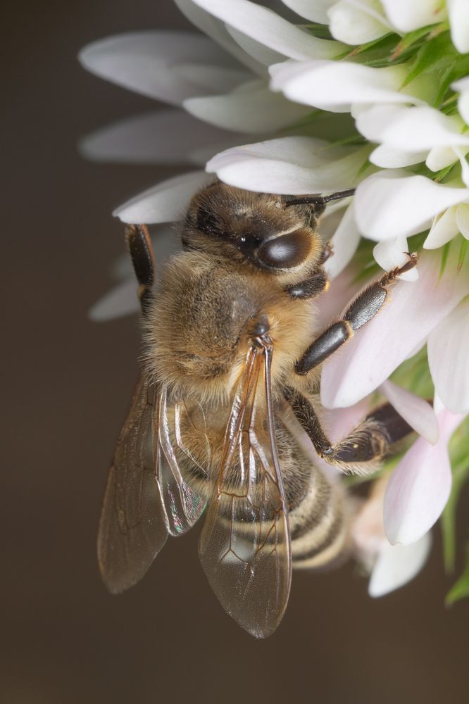 Photograph by Денис Ветренко