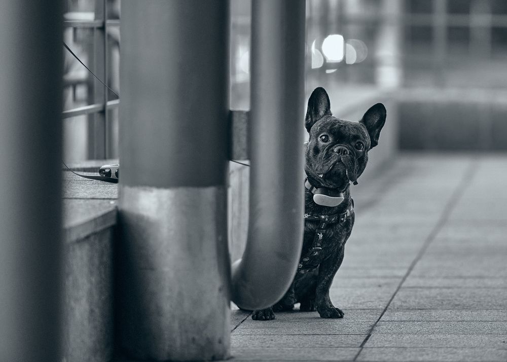 Photograph by Ilya Merkulov