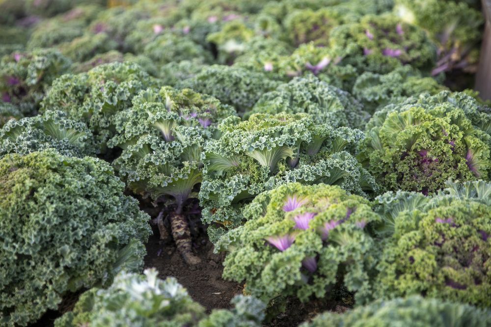 Photograph by Иван Соловьёв