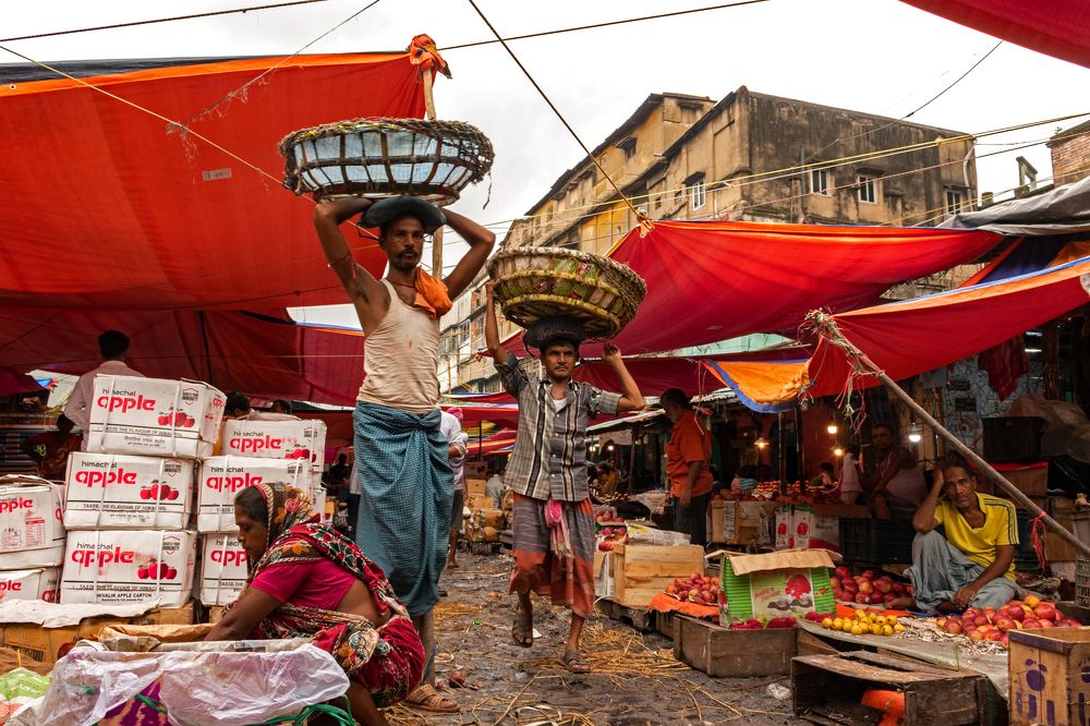 Photograph by Swattik Jana