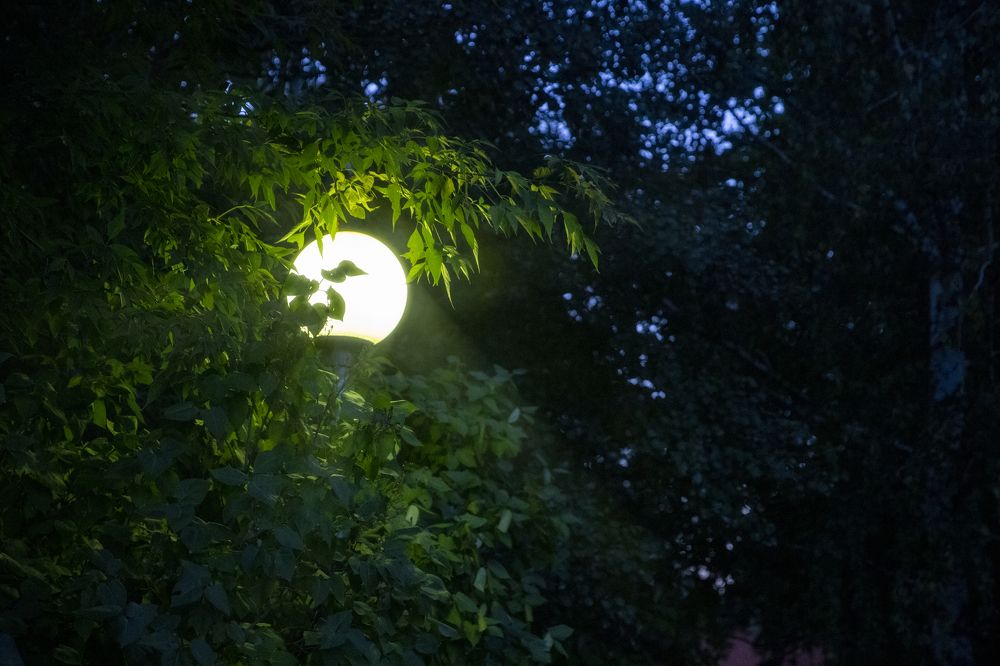 Photograph by Иван Соловьёв