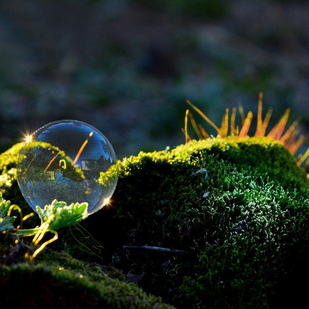 Photograph by Михаил Мехедов