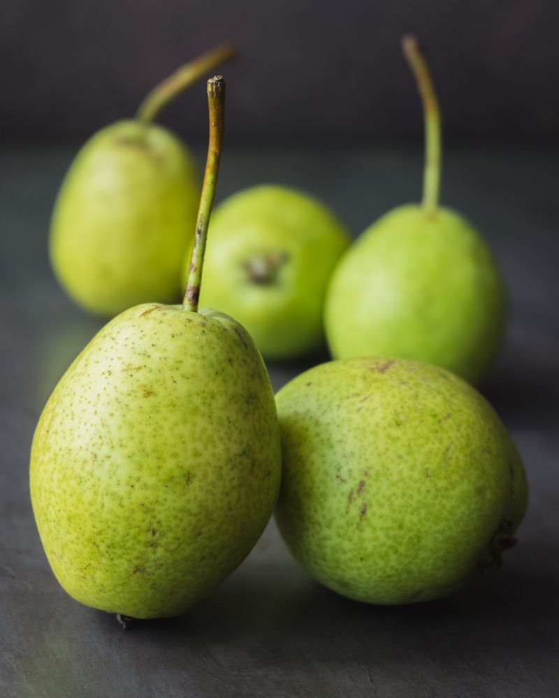 Photograph by Юлия Морозова