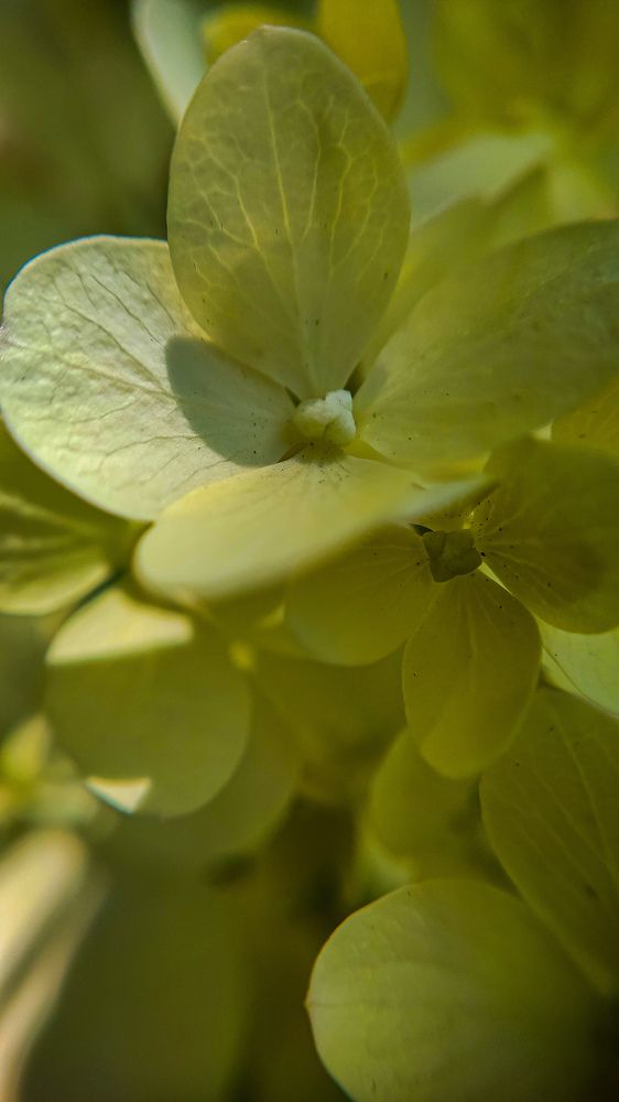 Photograph by ТАТЬЯНА ПАНОВА