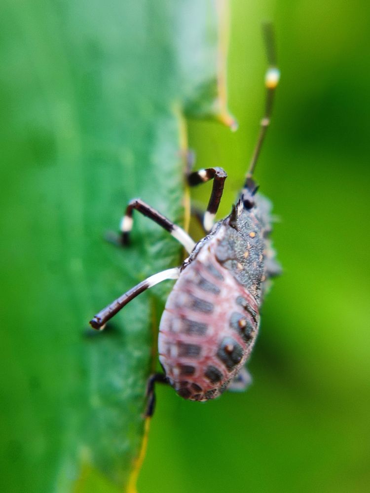 Photograph by Katsiaryna Sazonava