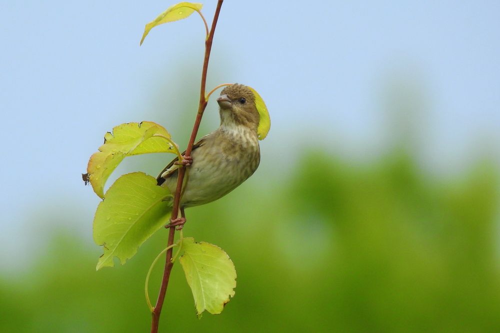Photograph by Татьяна Калугина