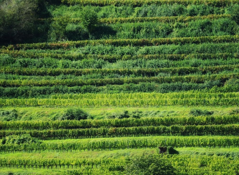 Photograph by Eva Wiedemann