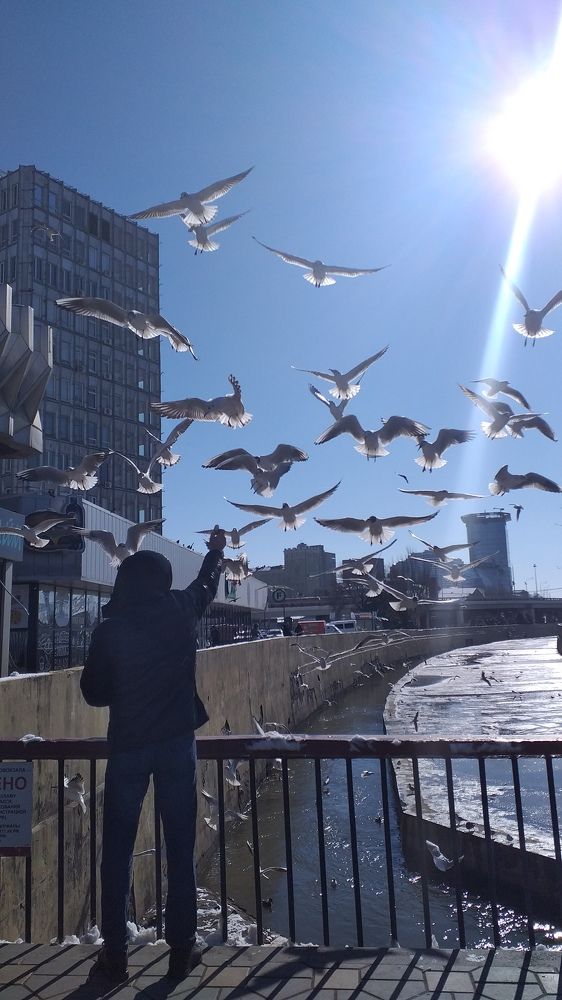 Photograph by Елена Кузнецова