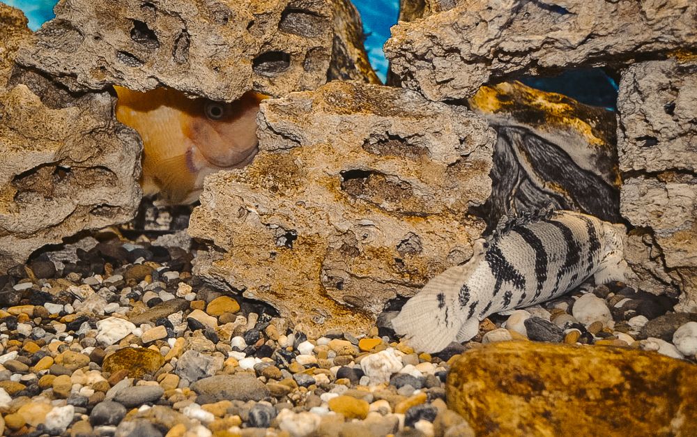 Photograph by Анжелика Трошина