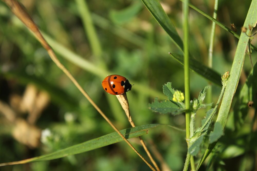 Photograph by Елена Кузнецова