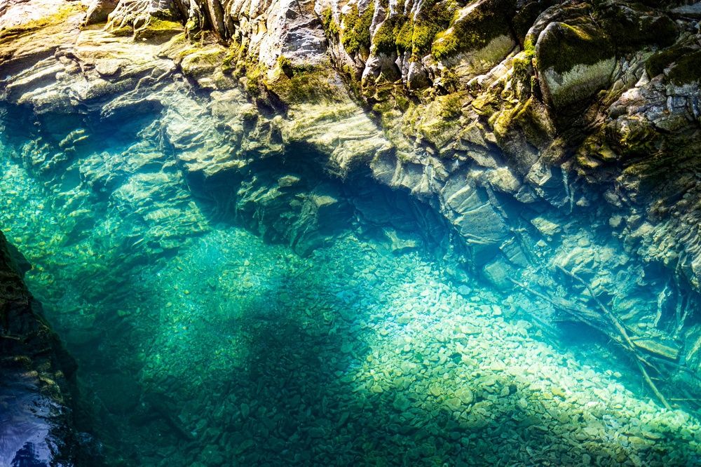 Фотография автора Александр Кременицкий