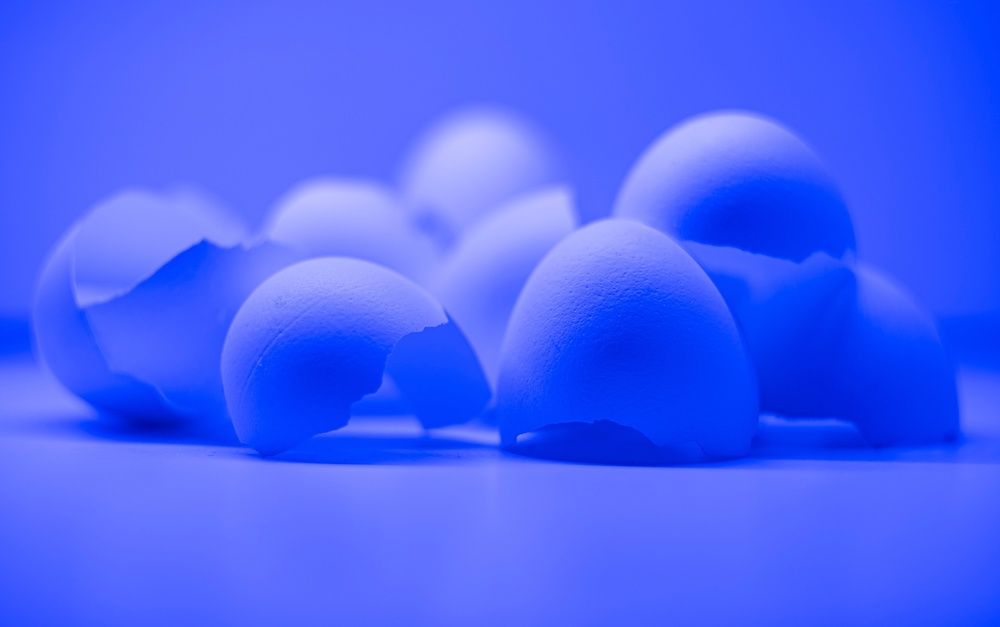 Фотография автора Александр Кременицкий