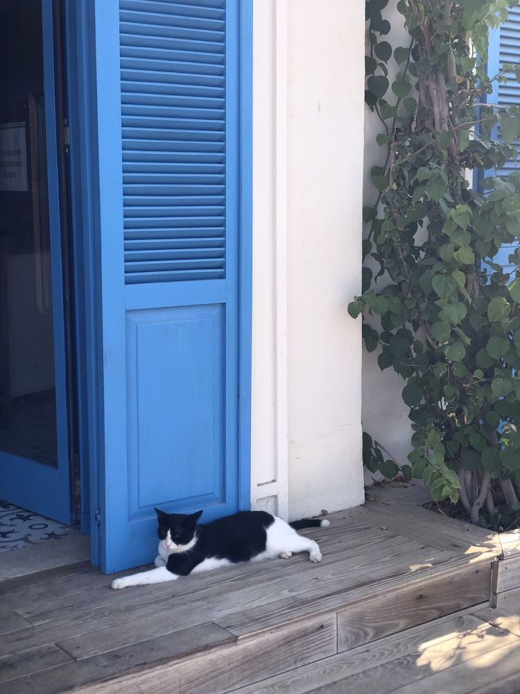 Photograph by Марина Георгиева