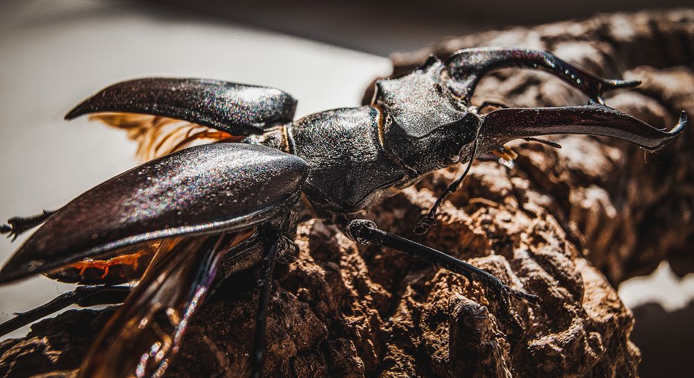 Photograph by Нелли Дзюба