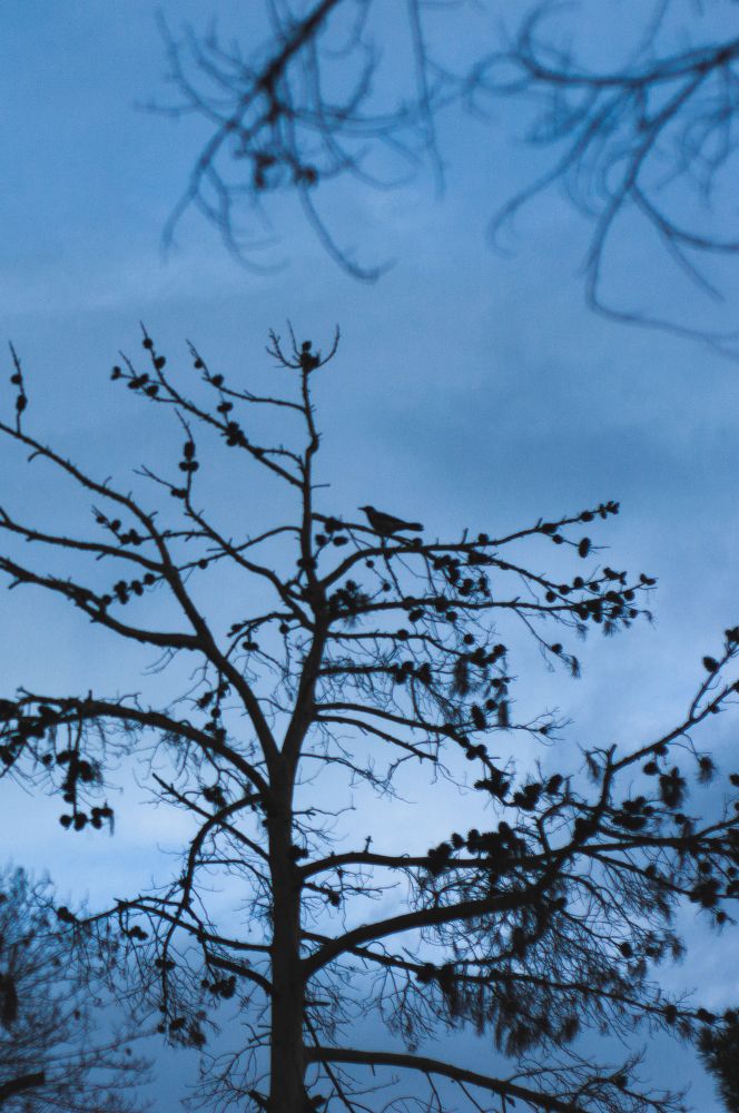 Photograph by mobin the abstract