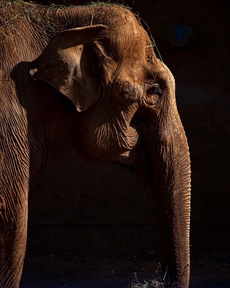 Фотография автора Galina Sa