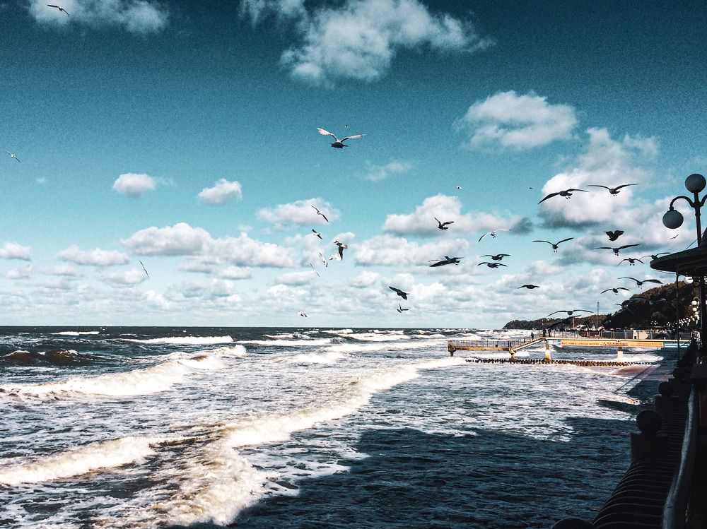 Photograph by Алена Жирова