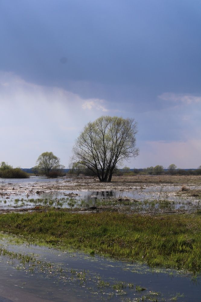 Photograph by Людмила Липаткина