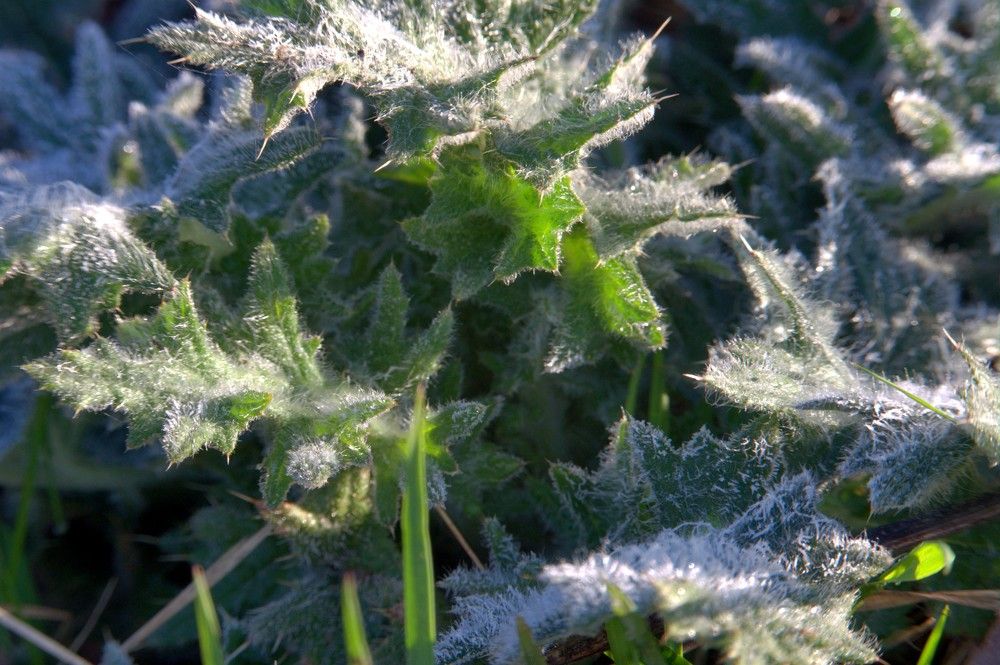 Фотография автора Дузь Виталий