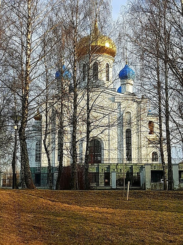 Фотография автора Ия (Левина) Энгельгардт