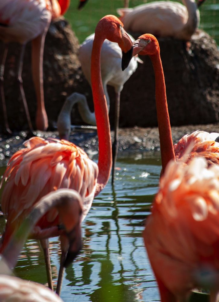 Фотография автора Galina Sa