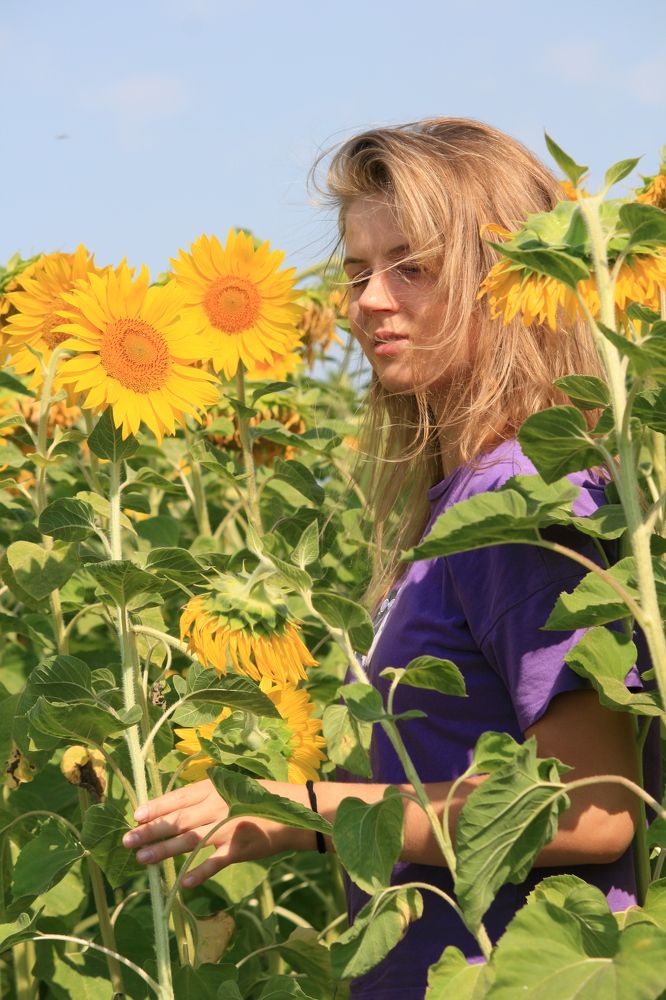 Фотография автора Татьяна Шебаршенко