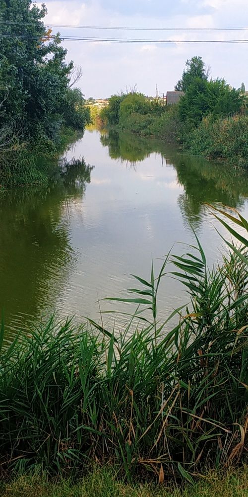 Photograph by Сергей Зиньковский