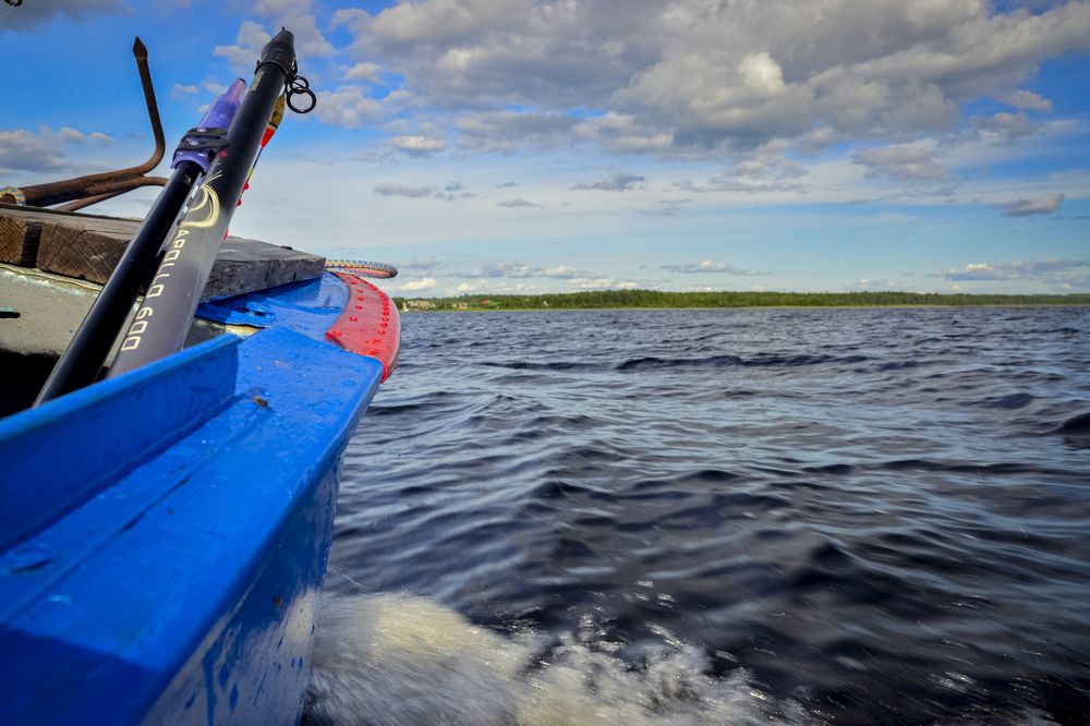 Photograph by Сергей Комаров