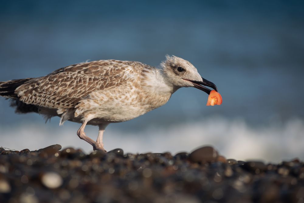 Photograph by Абраменко Антон