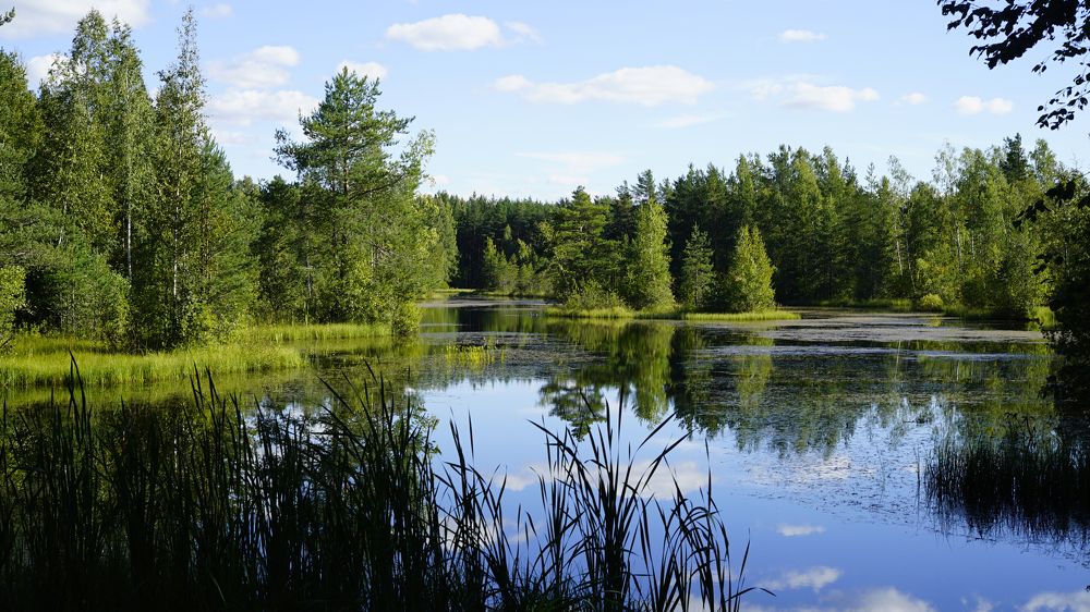 Photograph by Роман Трошин