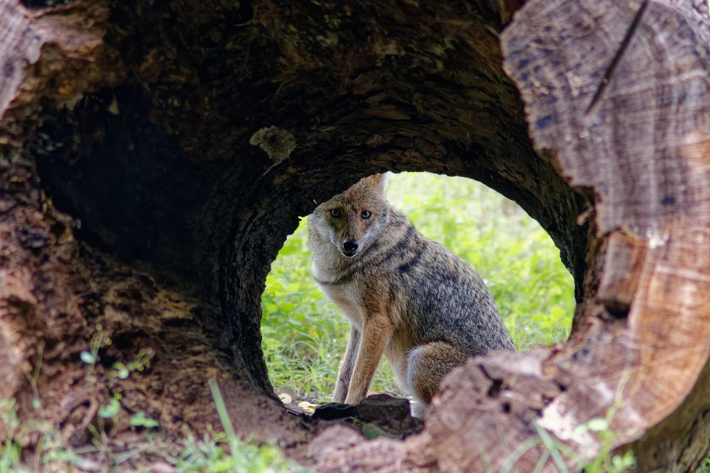 Photograph by vatsal mandaviya