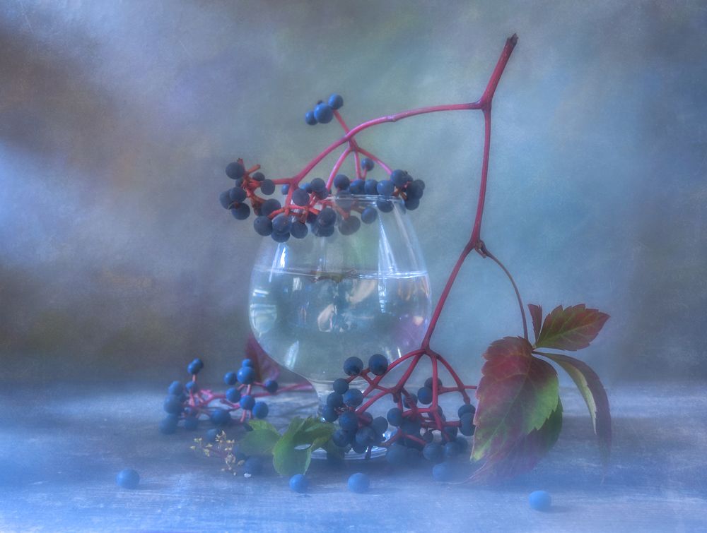 Осень дикая