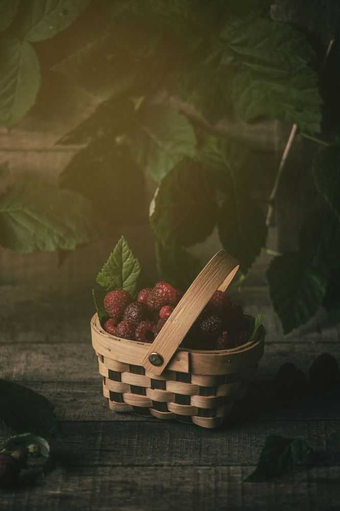 Photograph by Богдан Тарасов