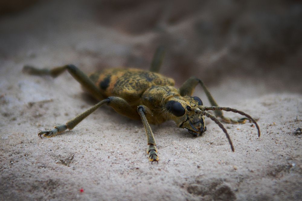 Photograph by Evita Juseviča