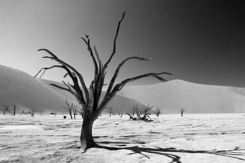 Photograph by Максимушкина Ольга