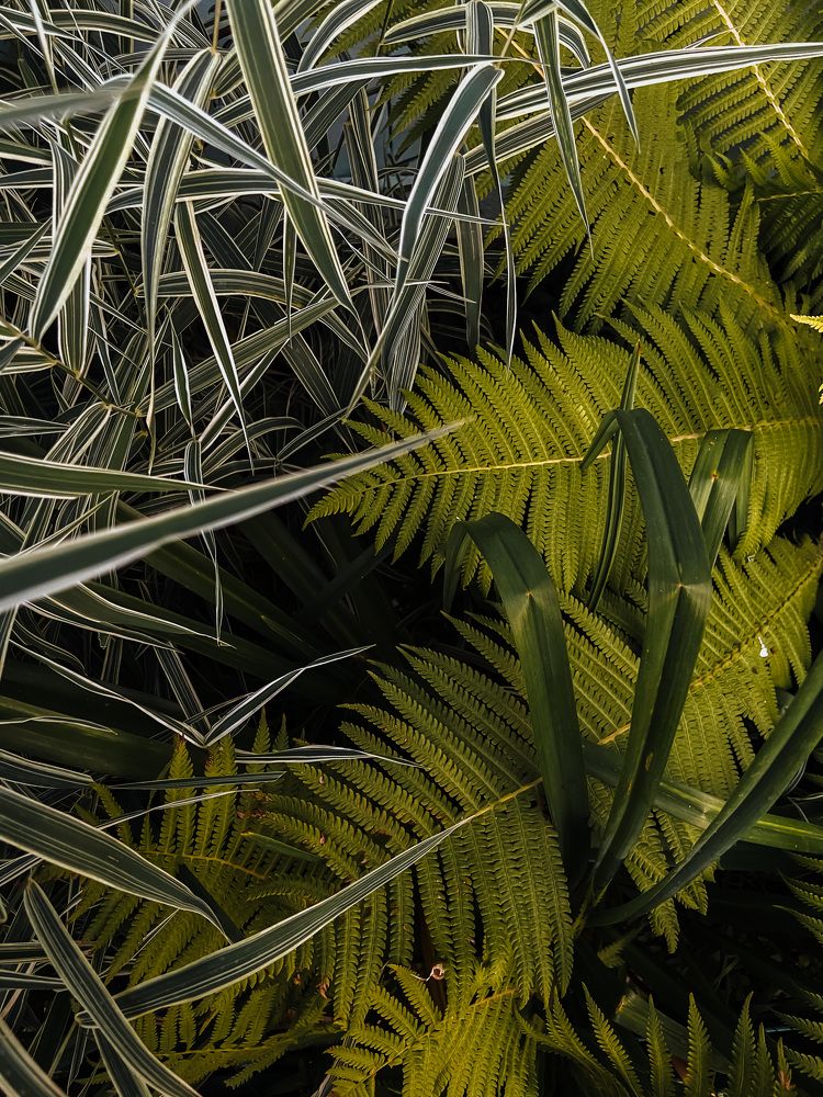 Photograph by Анна Леонова