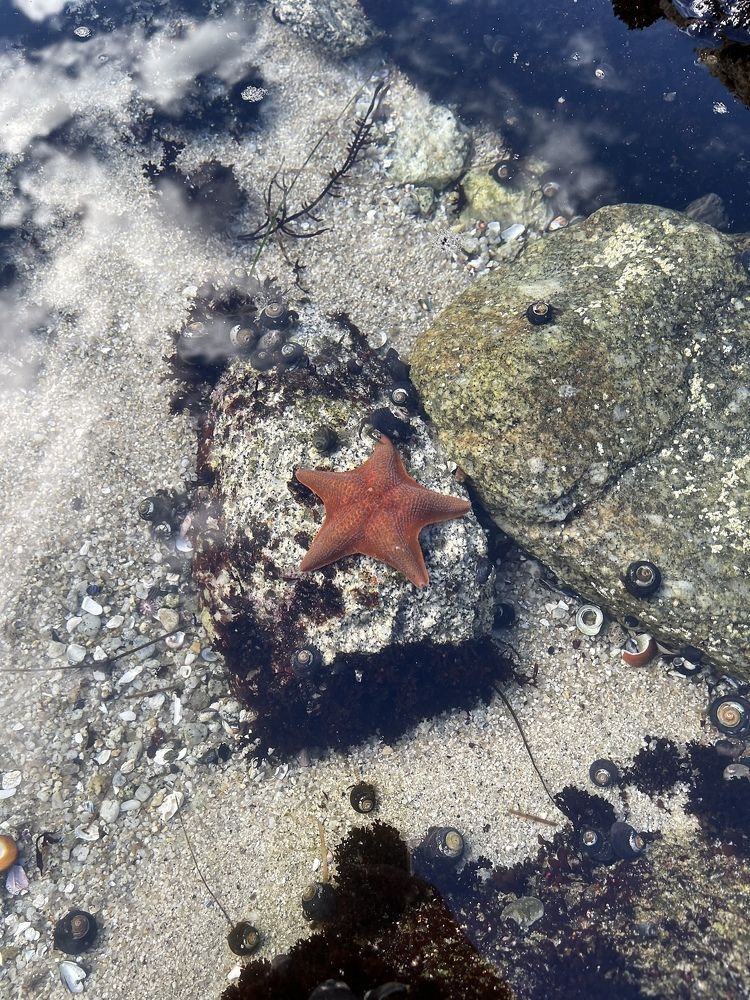 Photograph by Елена Кудрявцева