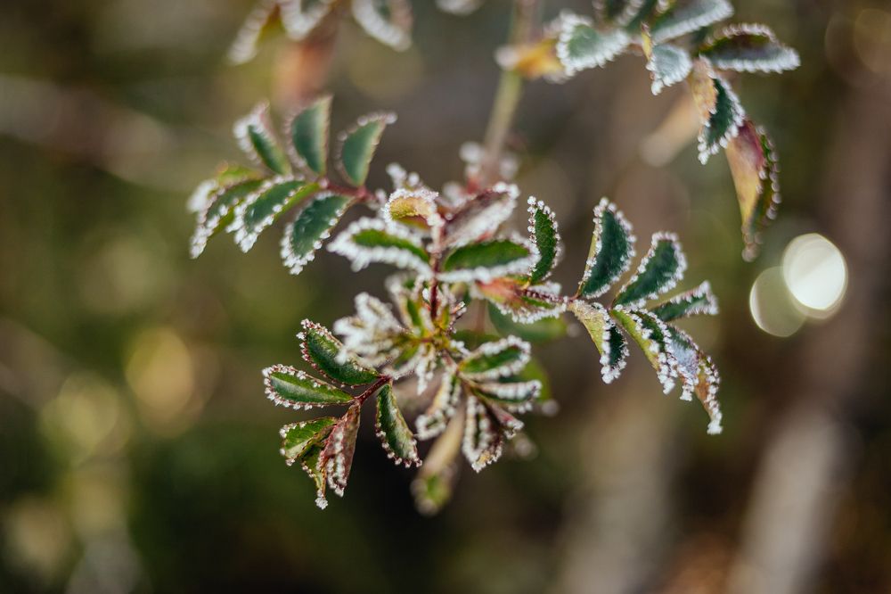 Photograph by Евгения Юдина