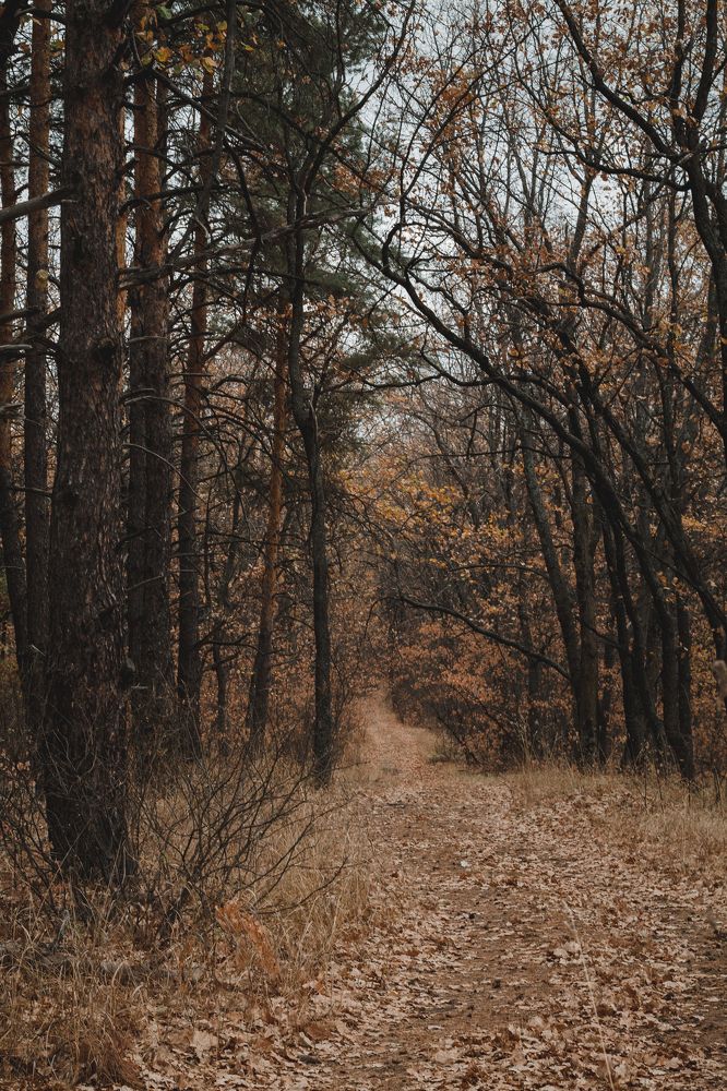 Photograph by Олеся Романова