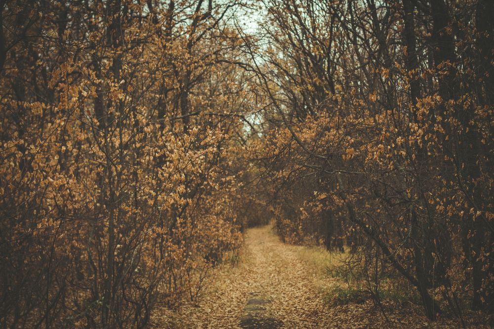 Photograph by Олеся Романова