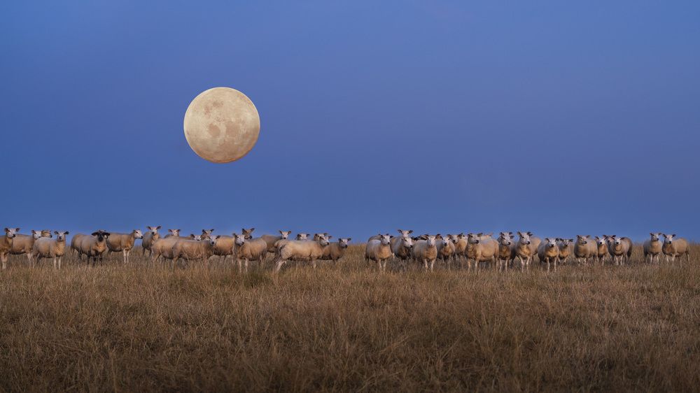 Photograph by LYUDMYLA POKRYSHEN