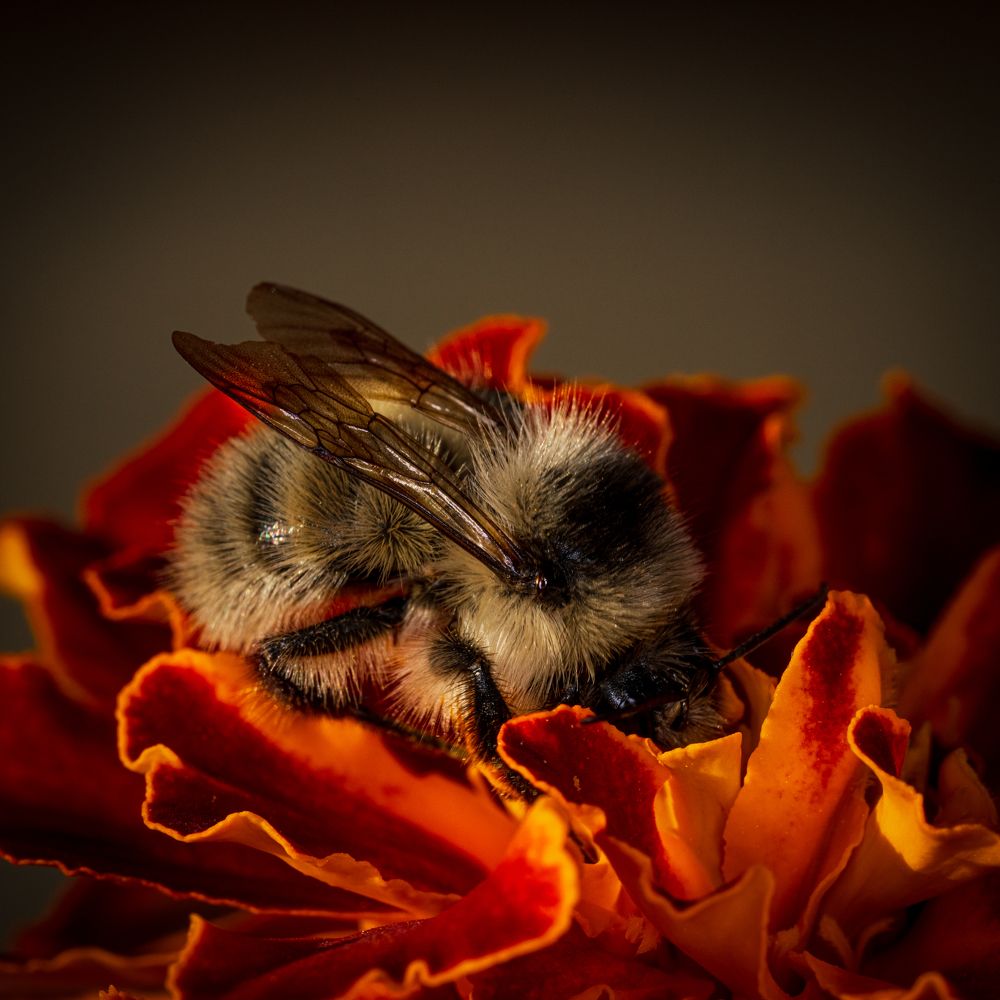 Photograph by Oleg Butorin