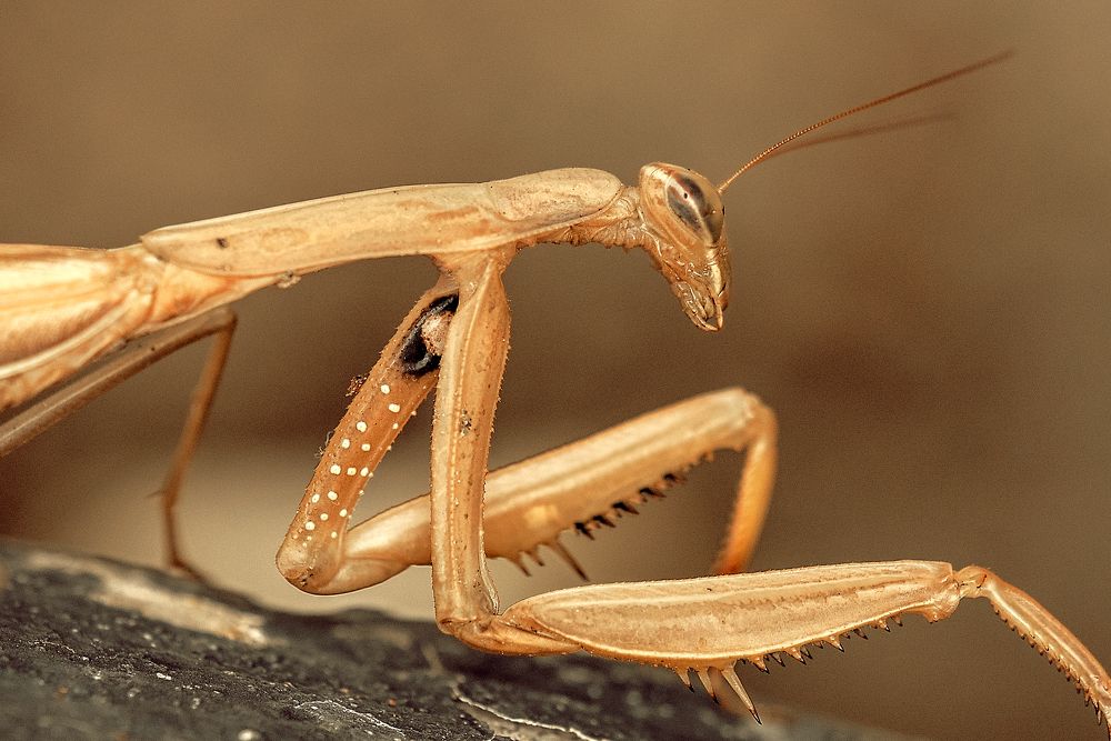 Photograph by Dragan Cerovic