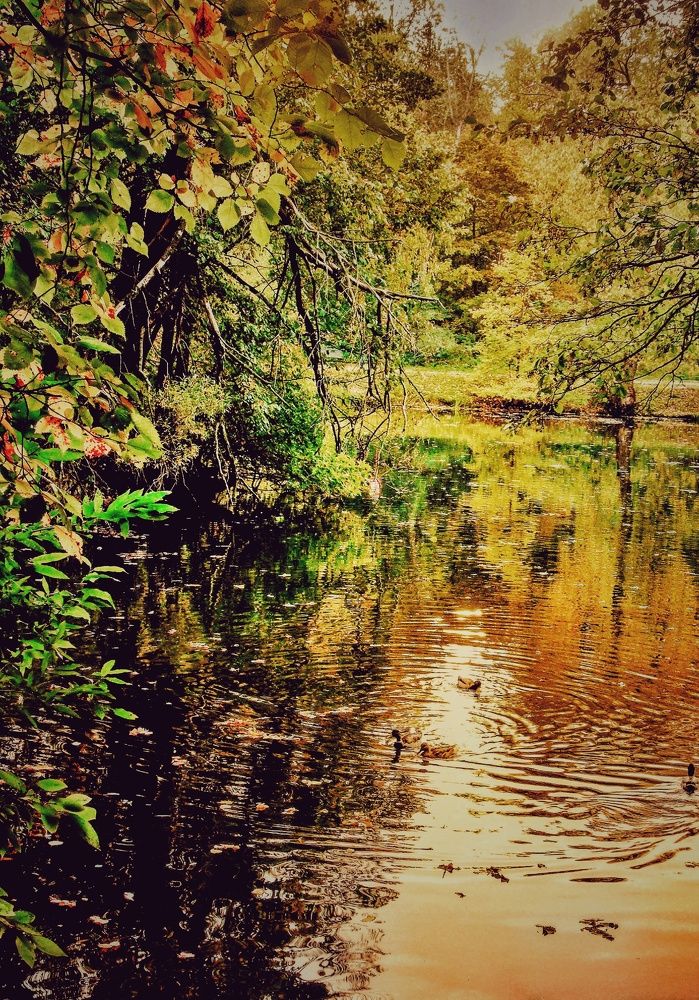 Photograph by Ольга Хромова