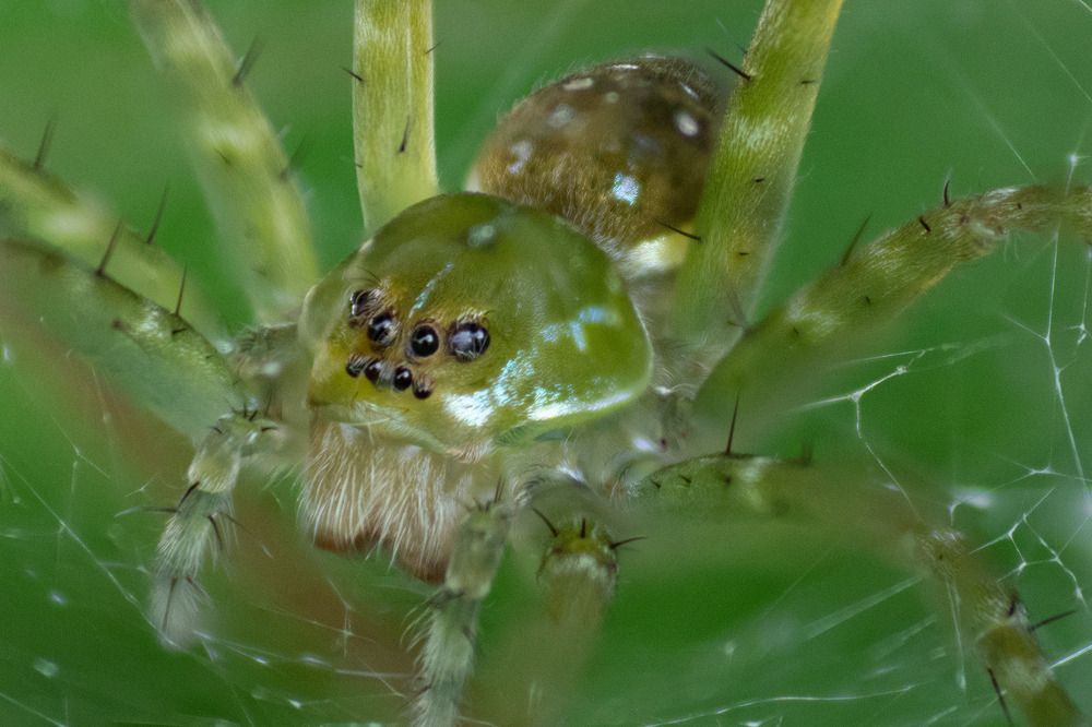 Photograph by Elieser Lopes Barbosa