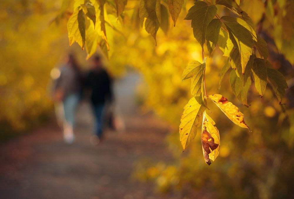 Photograph by Евгений Малинин