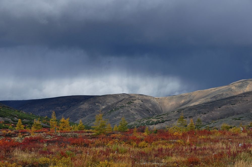 Photograph by Евгений Захаров