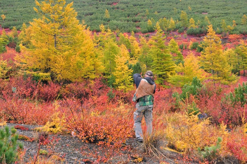 Photograph by Евгений Захаров
