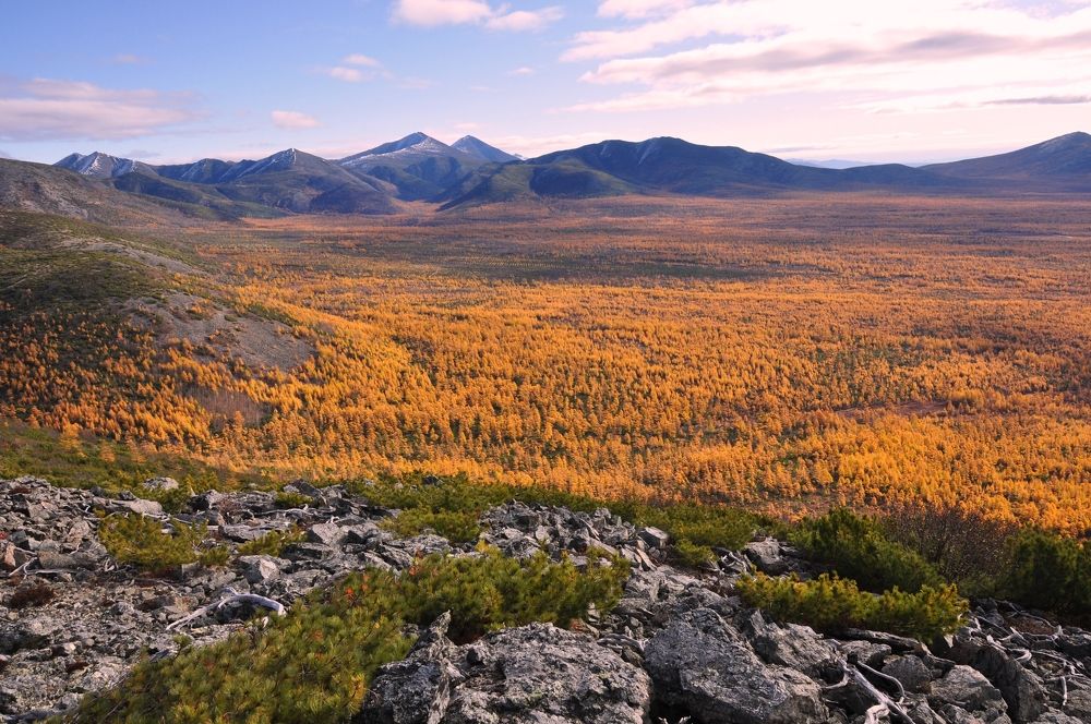 Photograph by Евгений Захаров